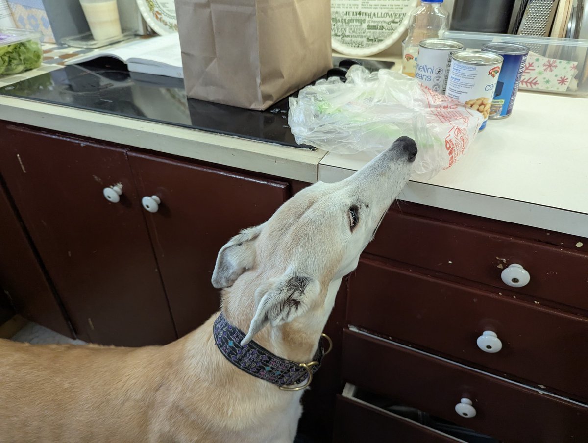 Momma says I am being a fussy eater but I am clearly signaling what I want ...