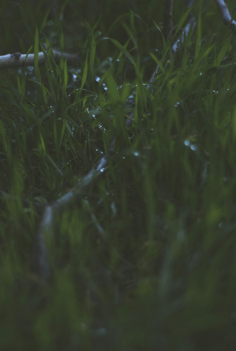 #openseatouchgrass #opensea
<a href="/opensea/">OpenSea</a>