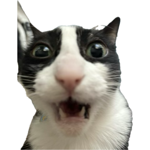 Live2D rigging in public feels like such a risk, I might hide a layer and accidentally flash someone behind me