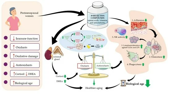 doctorneyro's tweet image. The results suggest that these #bioactivecompounds may be a beneficial #strategy for promoting #healthier #aging in #postmenopausal #women by enhancing #immunefunction, reducing #biologicalage, improving #redoxbalance, and regulating #stresshormones.

mdpi.com/2218-273X/15/5…