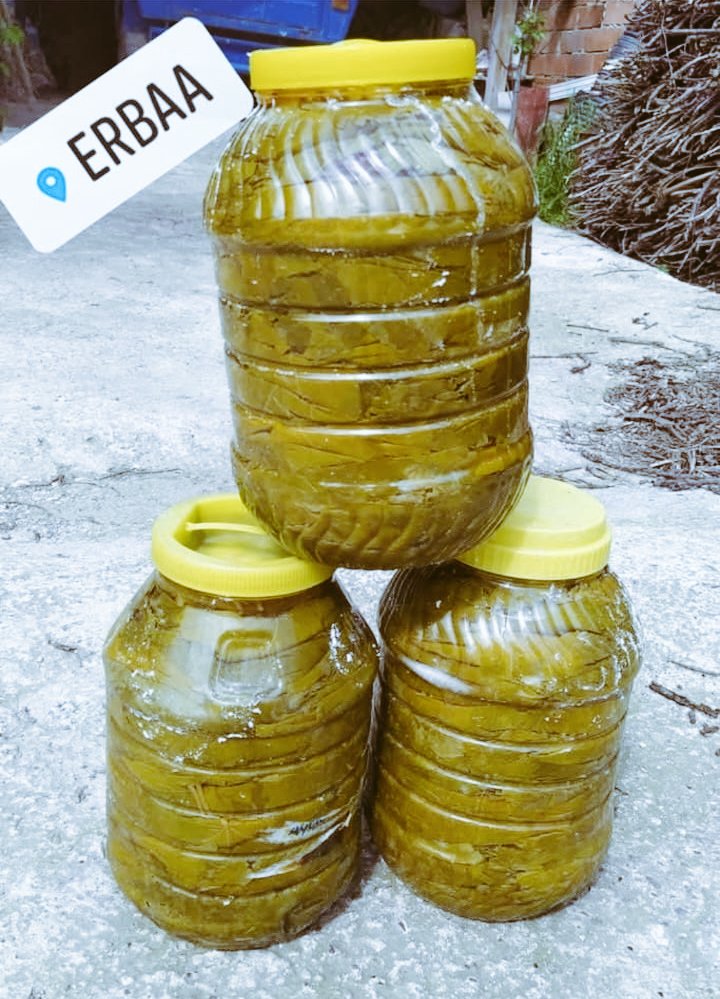 🌿 Erbaa'nın eşsiz lezzeti sofranızda! 🌿
Doğal, katkısız ve özenle hazırlanmış salamura Erbaa yaprağı artık bir mesaj kadar yakın!
🚚 Hızlı kargo
🥇 Kalite garantili
🚐 KARGO BEDAVA 
💬 Sipariş &amp; bilgi için DM!
📍 #Erbaa #SalamuraYaprak #DoğalÜrünler
WhatsApp 05065051465