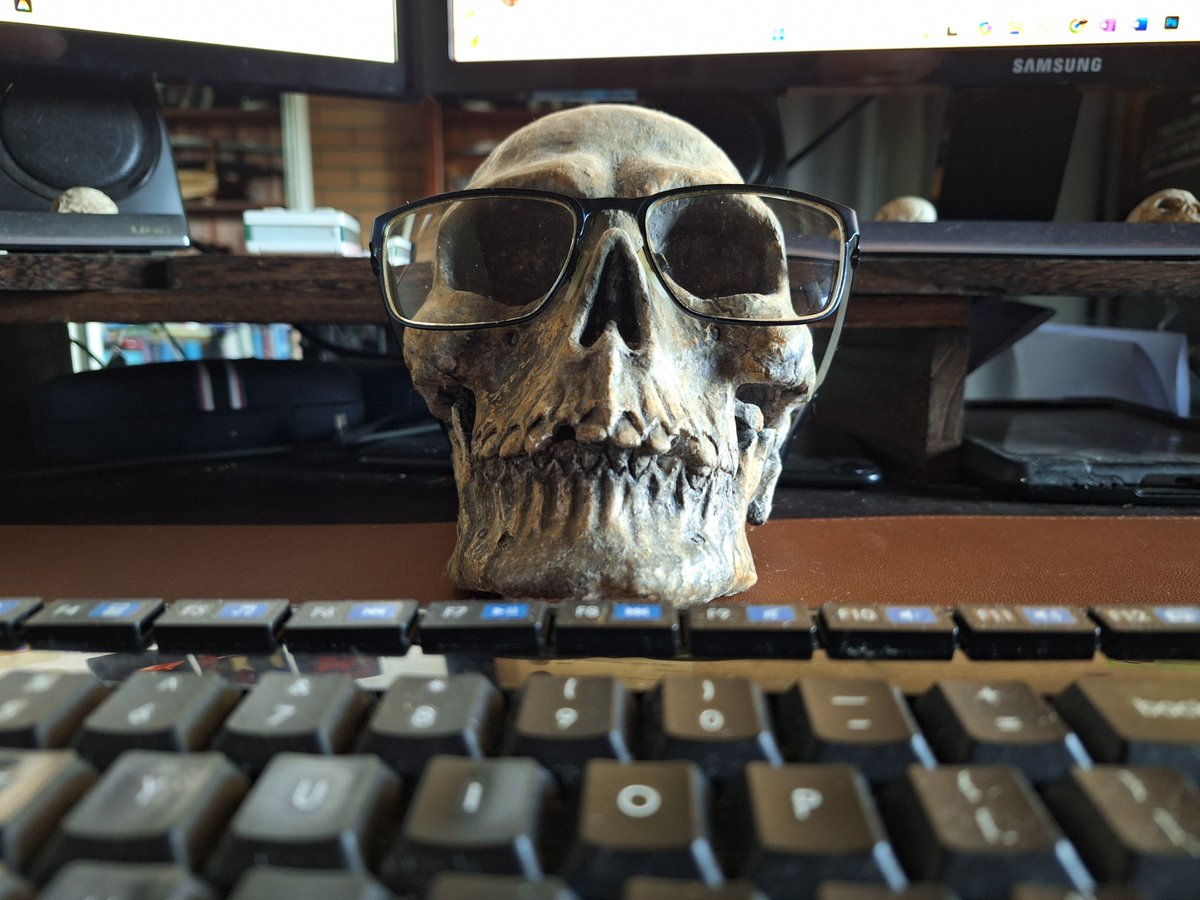 The view from my keyboard.