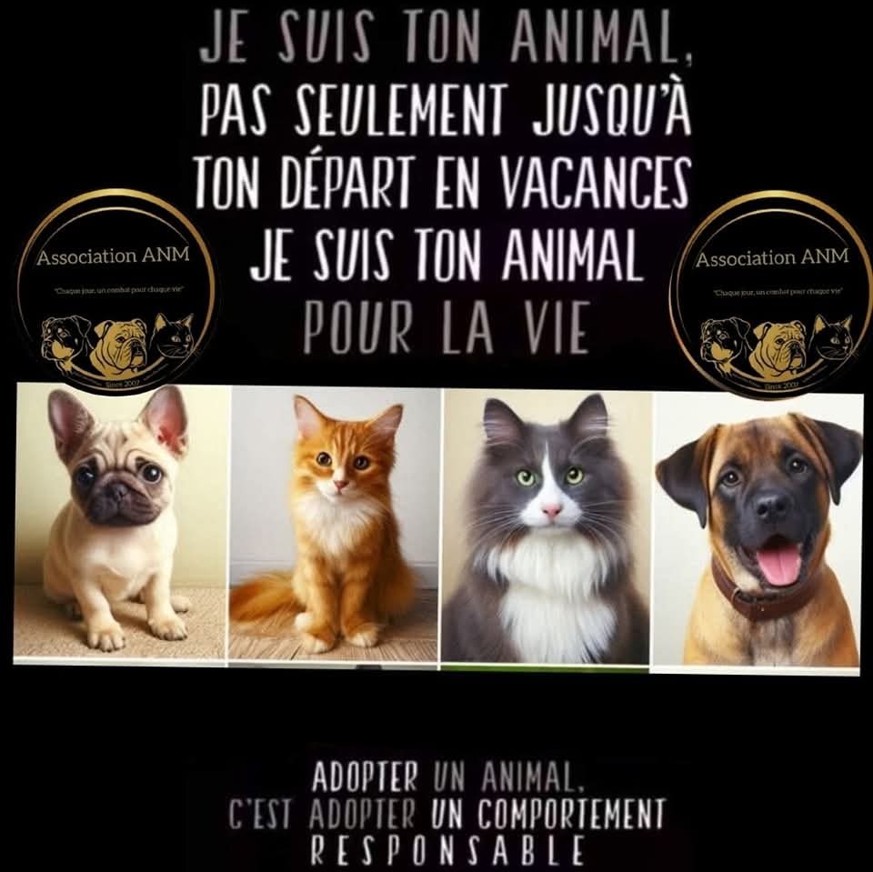 associationanm's tweet photo. [SENSIBILISATION]

Un animal est un être vivant, sensible et digne de respect.
Partagez pour une prise de conscience collective.

#StopSouffranceAnimale #ResponsabilitéAnimale #Bienveillance #ProtectionAnimale #associationaidonsnosmolosses #aidonsnosmolosses  #associationanm https://t.co/3IZYnw6Llg