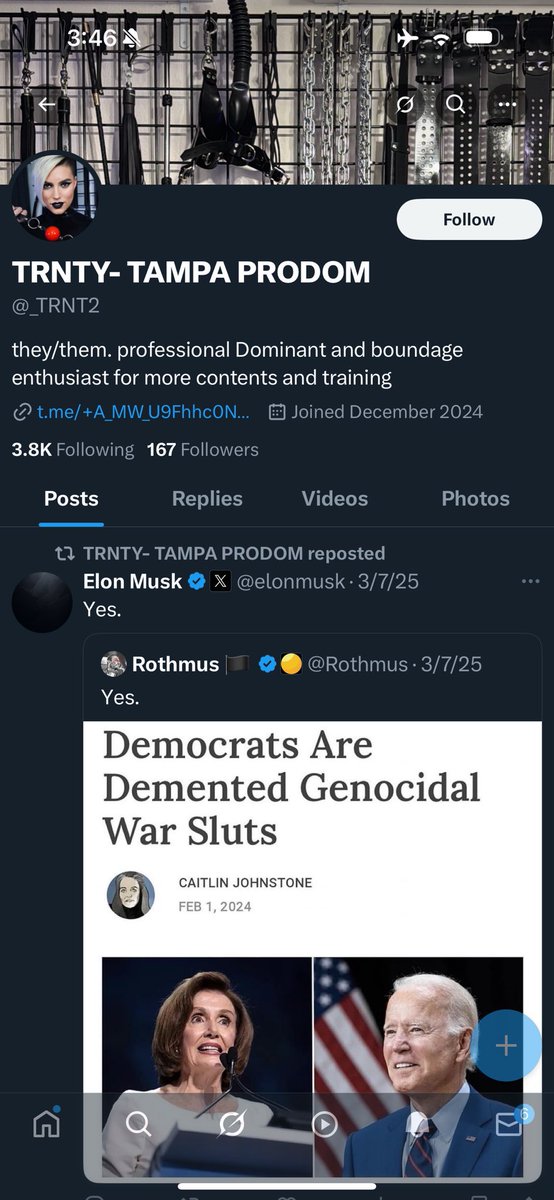 _master_8's tweet image. ⚠️IMPERSONATOR ALLERT⚠️

I am not this person, 

please report!