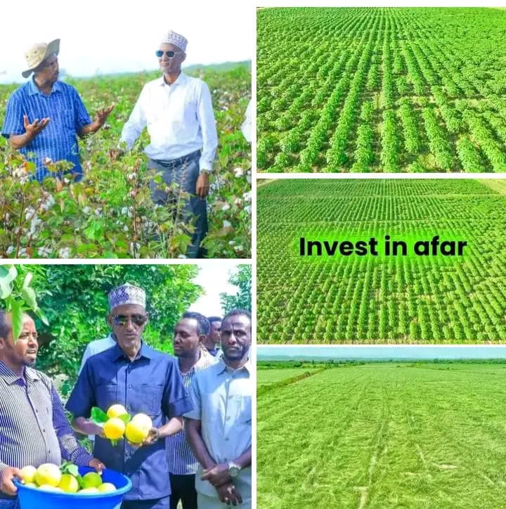 Mohamed34983221's tweet photo. A remarkable work has been done in our region under the leadership of #Haji #Awel #Arba, the Prosperity Party. 
A remarkable work has been done in the #Afar region, where words that can be seen with the eyes and touched with the hands have been translated into action. https://t.co/apaCJuNRXq