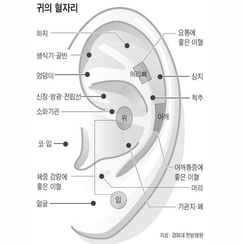 bbongee72's tweet photo. 아니진짜신기하다 귓불, 귀 안쪽은 1나도 안 아픈데 하지 &amp; 어깨 부분에 붙인 곳 진짜 찢어질 것 같아 누가 바늘로 계속 후비는 것 같음 평소에 다리 진짜 잘 붓고 어깨도 계속 뭉치는데 지압패치 ㄹㅇ 효과가 있나 봐 https://t.co/tn39t9F1cO