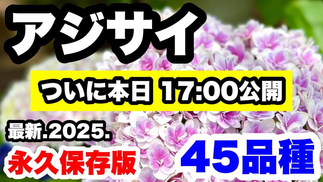 ゆるふわ園芸やっちゃんねる (@ohana_ohana_y) / Posts / X