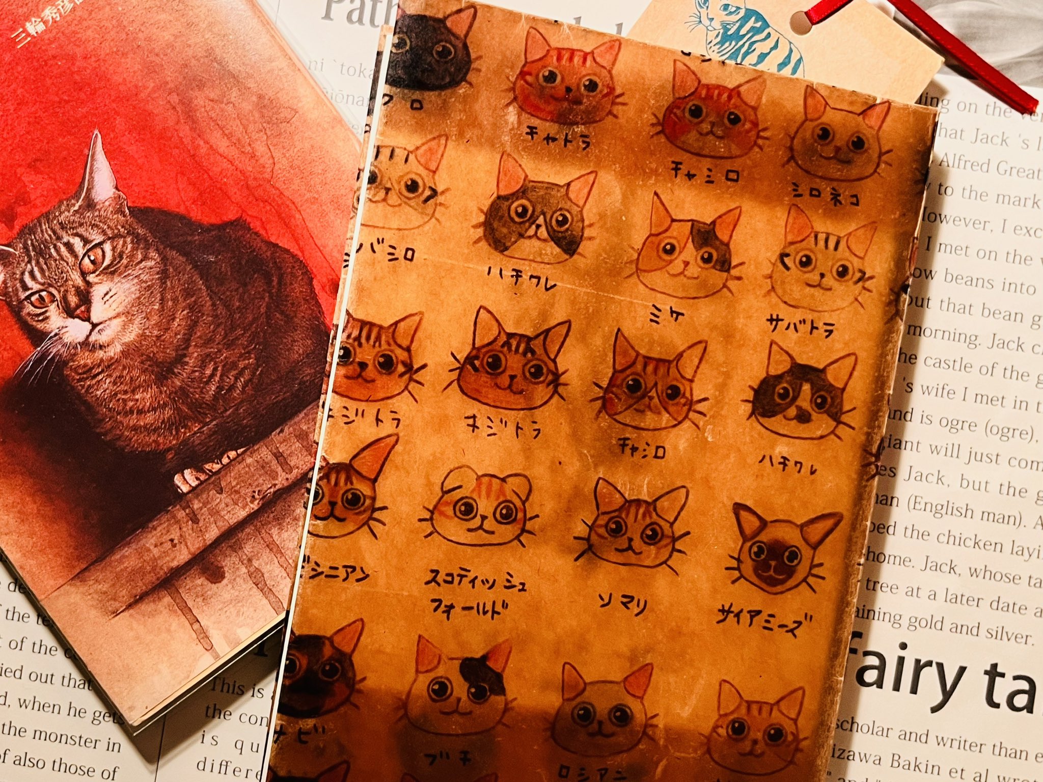 Koak コアック