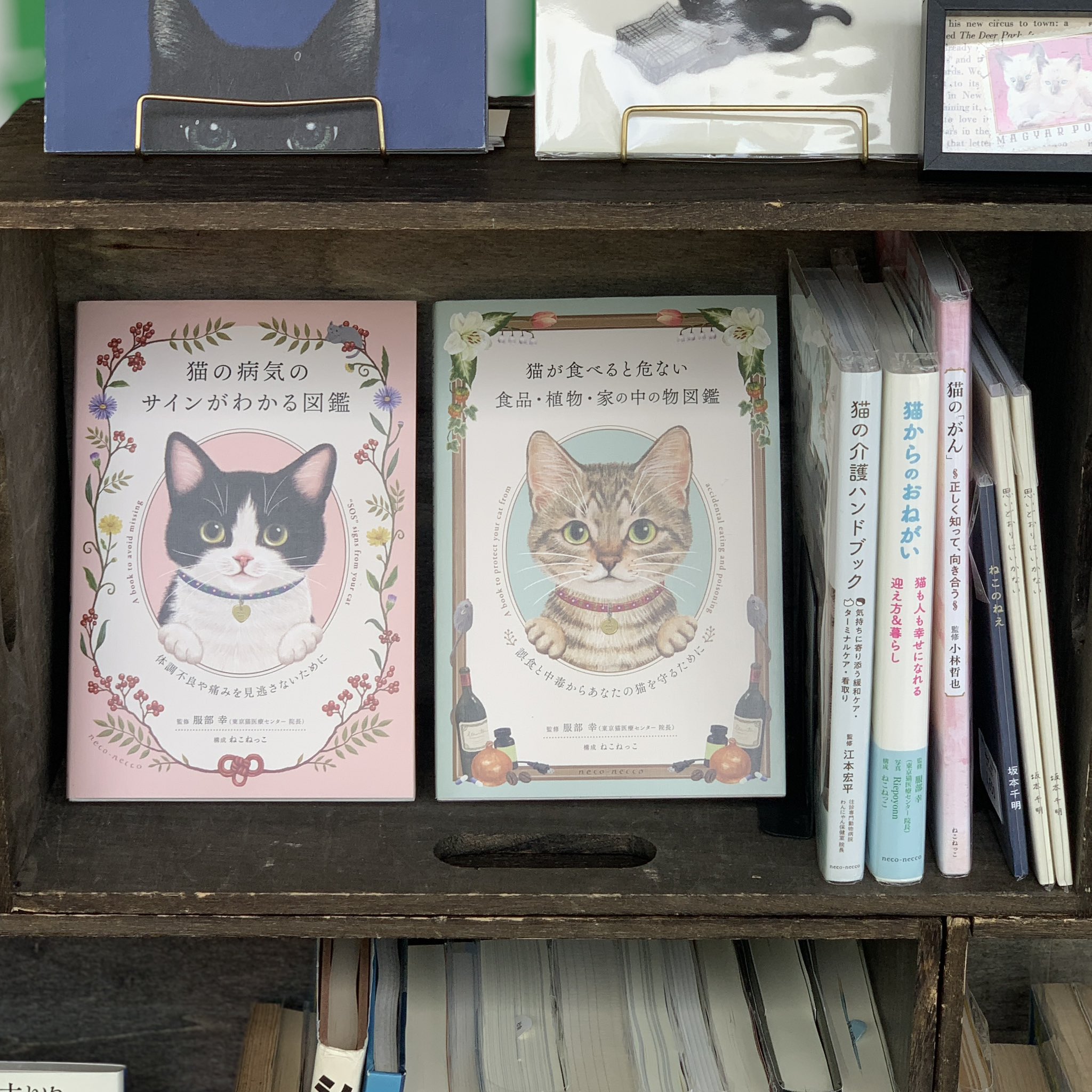 ねこっこページ ねこっこ (@nekokkoooo) / X