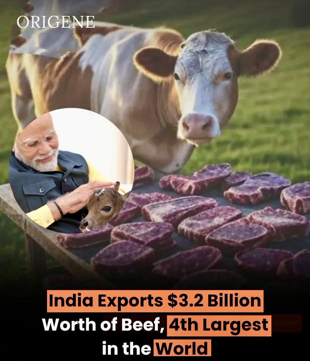 SubharanshRai's tweet image. #ModiModel चुनावी चंदा लो बीफ कंपनी से और #गौपालक बनने का एक्टिंग करो ?
#NakliSanatani
#ElectoralBond #Iran #Israel #TrumpParade #IsraeliranWar #WTCFinal #NoKingsDay #GauMata
#BJP #plancrash