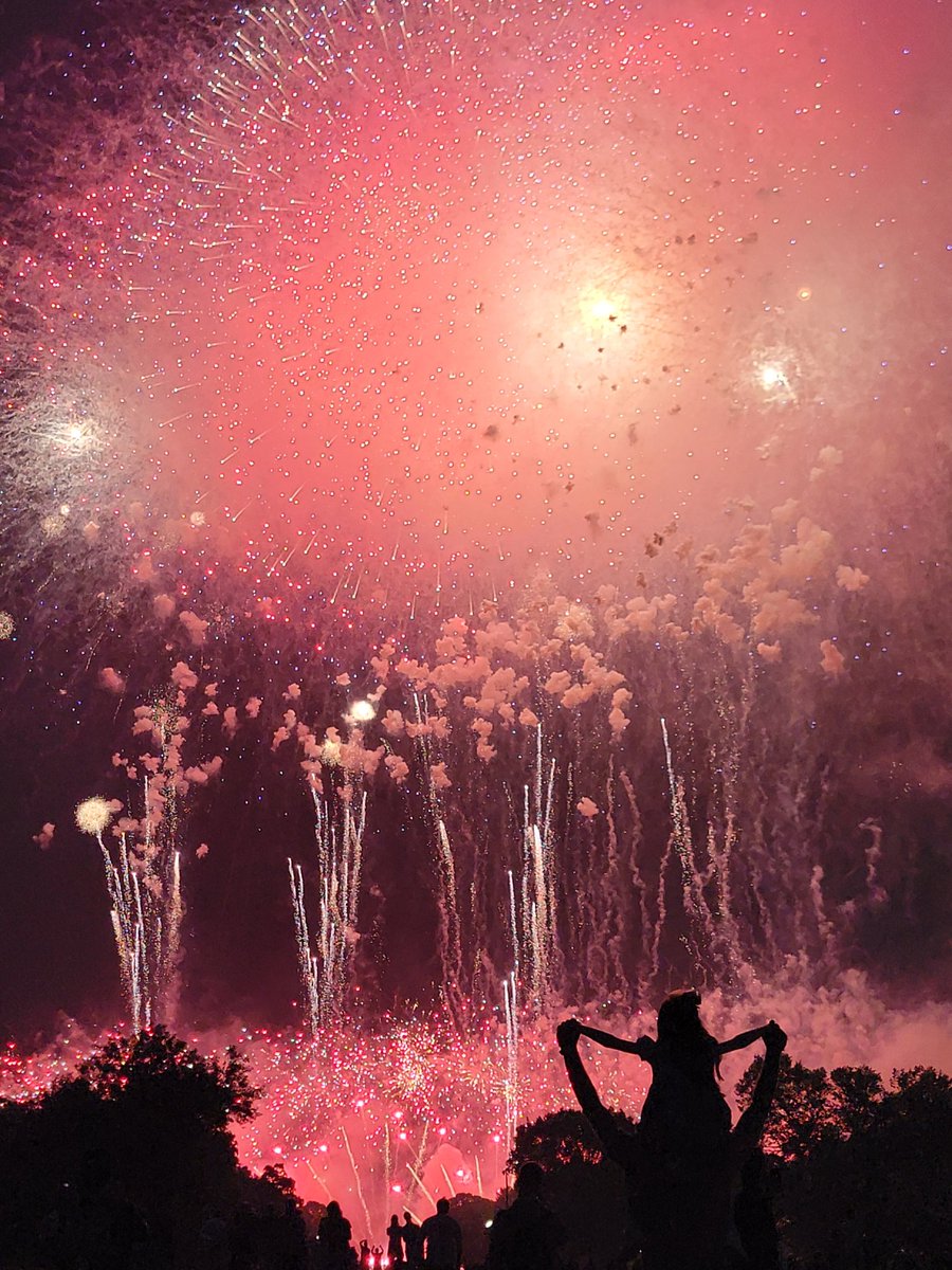 Curcodrilli's tweet image. Great way to end the day!
Birthday salute to our incredible US Army &amp;amp; President Trump