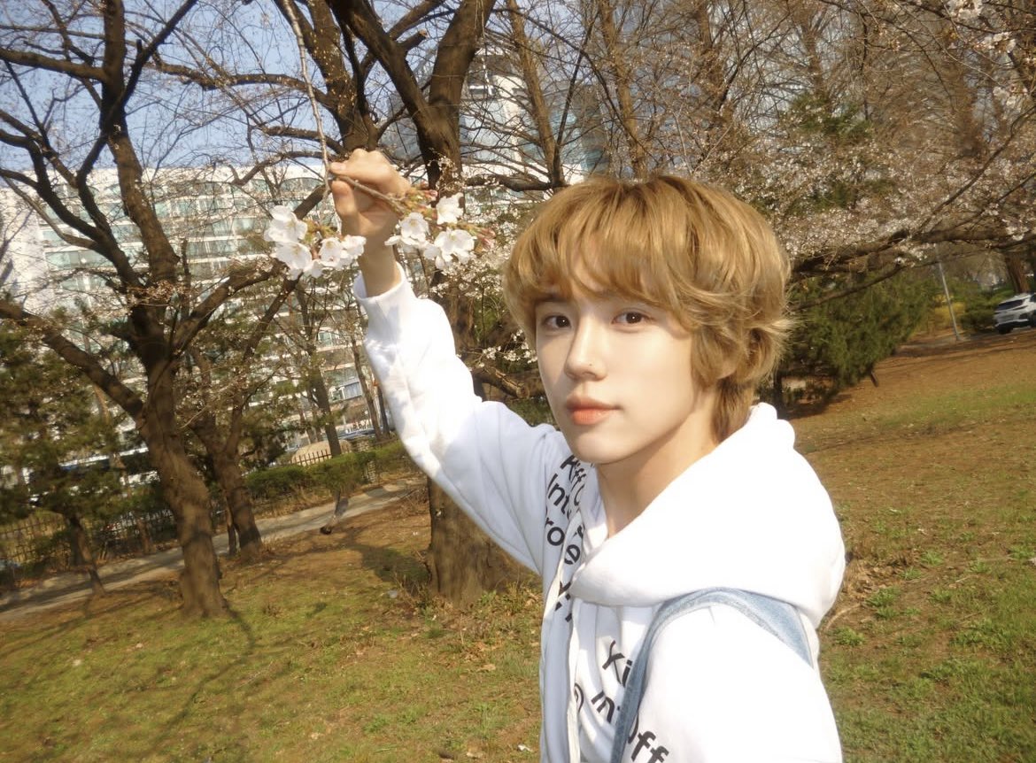 taemin tweet media