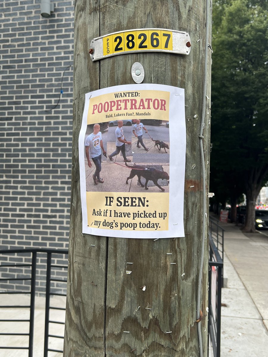 Lauren Rinaldi 🧚♀️ tweet media