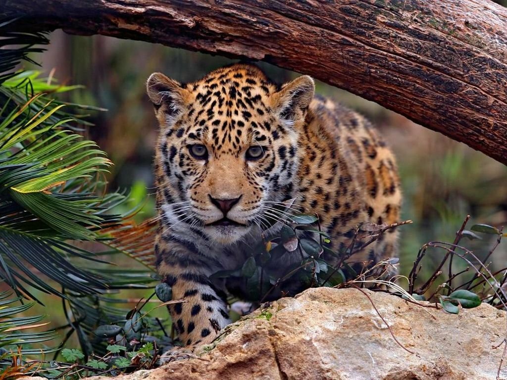 Юлия Верина 🍁 (@yuliya_verina) on Twitter photo <a href="/Dominik_Svetova/">Доминика Светова</a> <a href="/Mari__Samsonova/">Мария Самсонова 💕</a> <a href="/_Nata_Sokol/">Наталья Соколова </a> <a href="/_Mila_Romanova/">Мила Романова 🔙</a> <a href="/_VitaKnyazeva/">Виталия Князева</a> <a href="/Lara_Smurova/">Лариса Смурова 🚀</a> <a href="/Alisiya_Pankova/">Алисия Панкова 💥«</a> <a href="/Dana__Levina/">💞 Дана Левина 💞</a> <a href="/_NikaSmirnova/">Ника Смирнова 🦋</a> <a href="/_PolinaSavina/">Полина Савина 🧢</a> <a href="/_TatyanaGolub/">Татьяна Голубева 🔥«</a> <a href="/Evelina__Lapina/">Эвелина Лапина</a> <a href="/Mishel_Lebedeva/">Мишель Лебедева</a> <a href="/BogSuvorova/">Богдана Суворова</a> <a href="/Karina__Zimina/">Карина Зимина 🦋</a> <a href="/_Anna_Gordeeva/">Анна Гордеева</a> <a href="/Frolova__Nastya/">Анастасия Фролова ✨</a> <a href="/Val_Valereva/">Валентина Валерьева</a> <a href="/Evgen_Safina/">Евгения Сафина</a> <a href="/Alina__Azarova/">Алина Азарова 🔥</a> <a href="/Liza_Vesnina/">Лизавета Веснина</a> <a href="/Sveta_Makeina/">Светлана Макеина</a> <a href="/Kseniya_Aksen/">Ксения Аксенова</a> <a href="/_OksanaFirsova/">Оксана Фирсова</a> <a href="/Roza_Rakitina/">Роза Ракитина</a> <a href="/IrishaKoroleva/">Ирина Королева</a> <a href="/_VladaBelova/">Влада Белова</a> <a href="/ya__chara/">Яна</a> <a href="/alberiniks/">Нина Альбертова</a> <a href="/lady__travel/">Нинэлька</a> <a href="/Ansupers/">Анастасия</a> <a href="/Alisa550055/">Алиса</a> <a href="/glamour__fifa/">Нэнси</a> <a href="/santairis_/">Ириска</a> <a href="/polovinkamoya/">Валентина</a> <a href="/niguzan/">Нина</a> <a href="/moyi_angel/">Ангелина</a> <a href="/ledi__briz/">Алина Голубкова</a> <a href="/Irina__Grad/">Ирина Градова</a> <a href="/shelkalina/">Galina Shelest</a> <a href="/leopoldolarag/">Leopoldo Lara</a> <a href="/P_barbaricina/">Patricia ♦️®🇮🇹</a> <a href="/VictoriAGVelan1/">Victoria Guerrero Velandia</a> <a href="/alpost19718/">Istina</a> <a href="/Anatolii70/">.Анатолий70</a> <a href="/Igor55549244/">Igor</a> <a href="/Vladimi94915948/">Vladimir</a> <a href="/math_007tutor/">Цифровой репетитор по математике физике английский</a> <a href="/olv42/">Анна Ильиных</a> <a href="/iO0WDvcSpnyOba5/">Люба</a> <a href="/Dominik_Svetova/">Доминика Светова</a> <a href="/Mari__Samsonova/">Мария Самсонова 💕</a> <a href="/_Nata_Sokol/">Наталья Соколова </a> <a href="/_Mila_Romanova/">Мила Романова 🔙</a> <a href="/_VitaKnyazeva/">Виталия Князева</a> <a href="/Lara_Smurova/">Лариса Смурова 🚀</a> <a href="/Alisiya_Pankova/">Алисия Панкова 💥«</a> <a href="/Dana__Levina/">💞 Дана Левина 💞</a> <a href="/_NikaSmirnova/">Ника Смирнова 🦋</a> <a href="/_PolinaSavina/">Полина Савина 🧢</a> <a href="/_TatyanaGolub/">Татьяна Голубева 🔥«</a> <a href="/Evelina__Lapina/">Эвелина Лапина</a> <a href="/Mishel_Lebedeva/">Мишель Лебедева</a> <a href="/BogSuvorova/">Богдана Суворова</a> <a href="/Karina__Zimina/">Карина Зимина 🦋</a> <a href="/_Anna_Gordeeva/">Анна Гордеева</a> <a href="/Frolova__Nastya/">Анастасия Фролова ✨</a> <a href="/Val_Valereva/">Валентина Валерьева</a> <a href="/Evgen_Safina/">Евгения Сафина</a> <a href="/Alina__Azarova/">Алина Азарова 🔥</a> <a href="/Liza_Vesnina/">Лизавета Веснина</a> <a href="/Sveta_Makeina/">Светлана Макеина</a> <a href="/Kseniya_Aksen/">Ксения Аксенова</a> <a href="/_OksanaFirsova/">Оксана Фирсова</a> <a href="/Roza_Rakitina/">Роза Ракитина</a> <a href="/IrishaKoroleva/">Ирина Королева</a> <a href="/_VladaBelova/">Влада Белова</a> <a href="/ya__chara/">Яна</a> <a href="/alberiniks/">Нина Альбертова</a> <a href="/lady__travel/">Нинэлька</a> <a href="/Ansupers/">Анастасия</a> <a href="/Alisa550055/">Алиса</a> <a href="/glamour__fifa/">Нэнси</a> <a href="/santairis_/">Ириска</a> <a href="/polovinkamoya/">Валентина</a> <a href="/niguzan/">Нина</a> <a href="/moyi_angel/">Ангелина</a> <a href="/ledi__briz/">Алина Голубкова</a> <a href="/Irina__Grad/">Ирина Градова</a> <a href="/shelkalina/">Galina Shelest</a> <a href="/leopoldolarag/">Leopoldo Lara</a> <a href="/P_barbaricina/">Patricia ♦️®🇮🇹</a> <a href="/VictoriAGVelan1/">Victoria Guerrero Velandia</a> <a href="/alpost19718/">Istina</a> <a href="/Anatolii70/">.Анатолий70</a> <a href="/Igor55549244/">Igor</a> <a href="/Vladimi94915948/">Vladimir</a> <a href="/math_007tutor/">Цифровой репетитор по математике физике английский</a> <a href="/olv42/">Анна Ильиных</a> <a href="/iO0WDvcSpnyOba5/">Люба</a>
