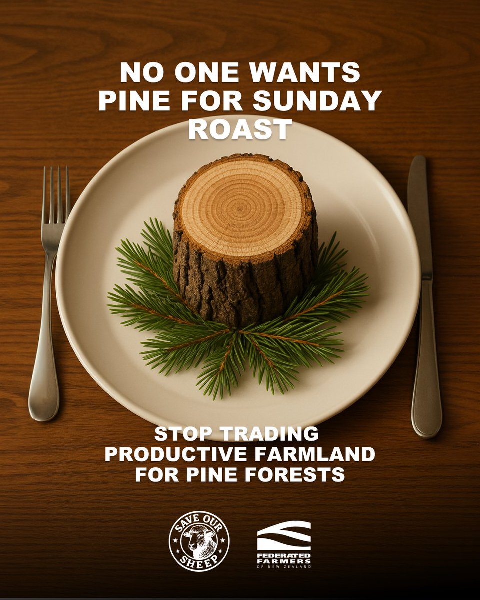 Something to discuss around the dinner table tonight 🍽️
saveoursheep.nz