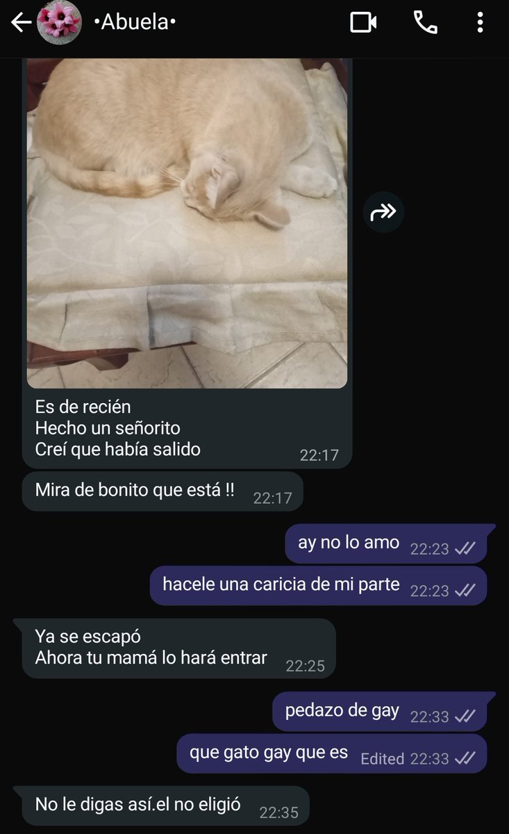 guesss505's tweet photo. mi abuela la primera aliada https://t.co/anxEqfFfuH