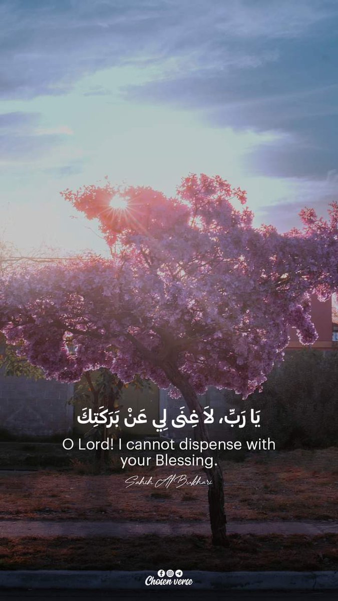 المصحف الجامع tweet media