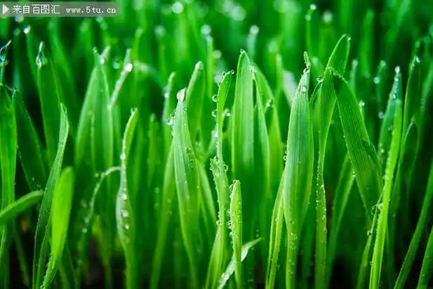 harimulll's tweet photo. @opensea #openseatouchgrass https://t.co/5RtWJ4tJDm