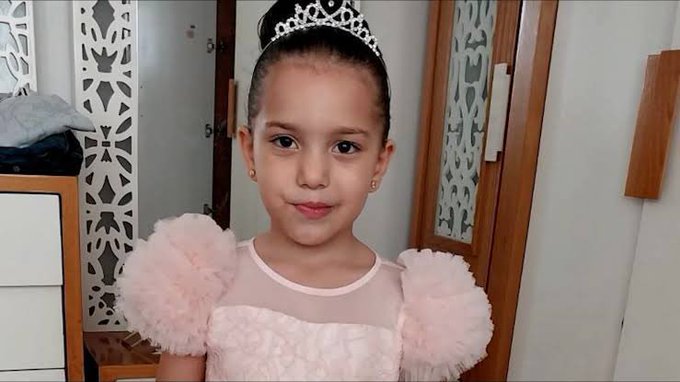 Irudia