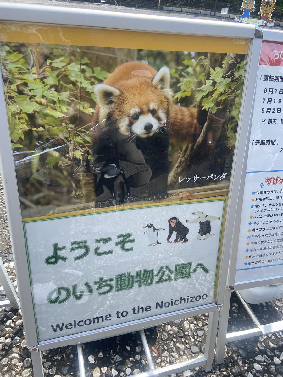 パプアくん tweet media