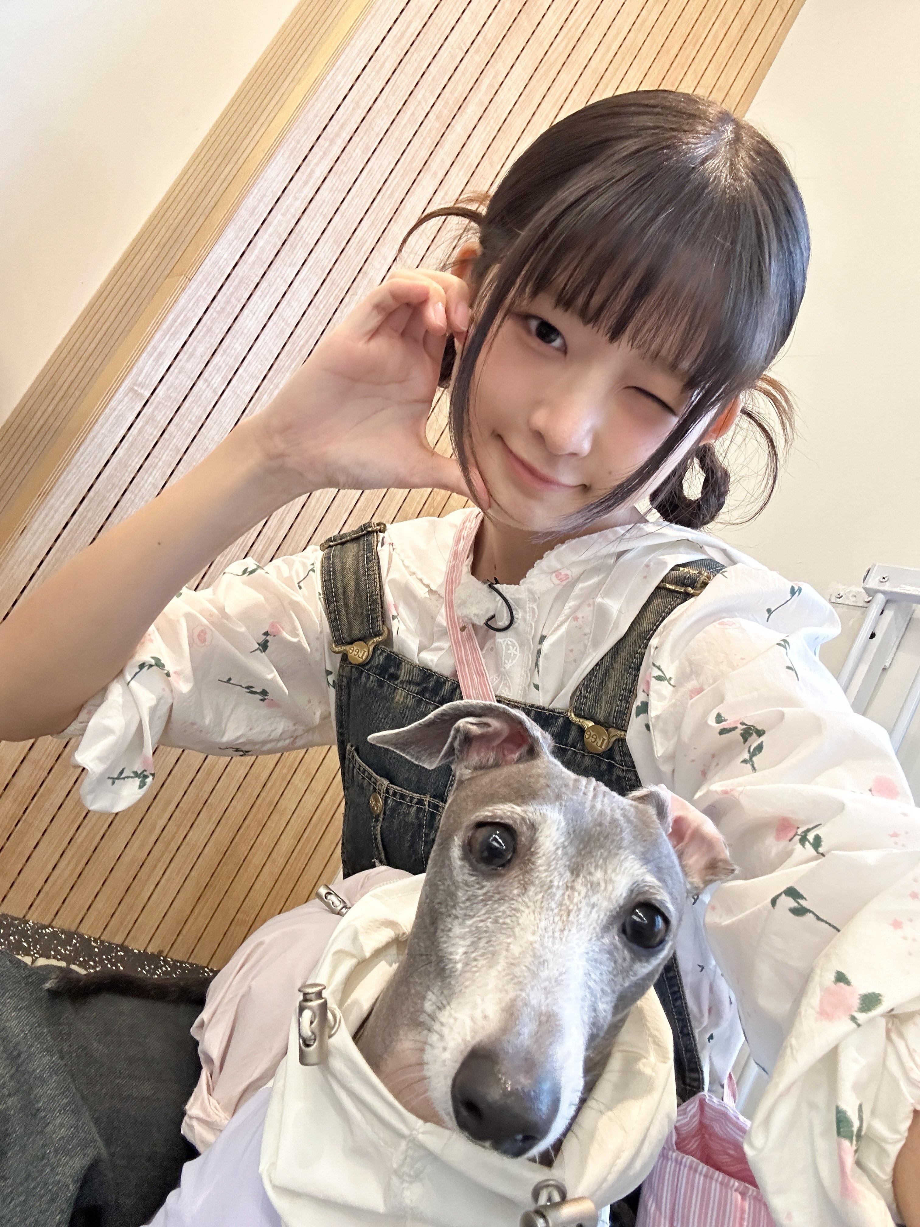 IVE OFFICIAL JP (@IVEstarship_JP) / X