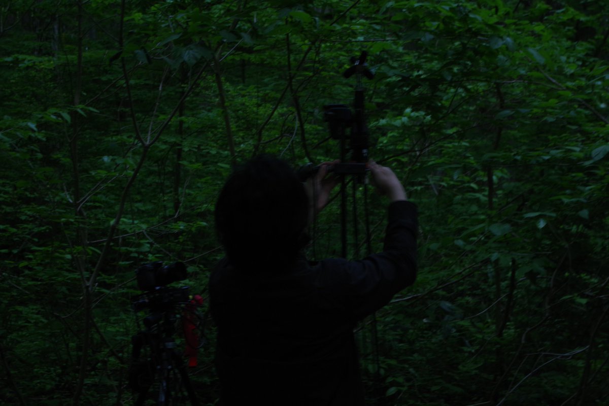 r_kimura's tweet image. 鳥の声録音の朝は早い。夜明け前の4時には録音ボタンを押さなければならない。
youtu.be/qdxB7pykuH4?si…
成果はYouTubeで。
#ambisonicmic #fieldrecording #naturerecording