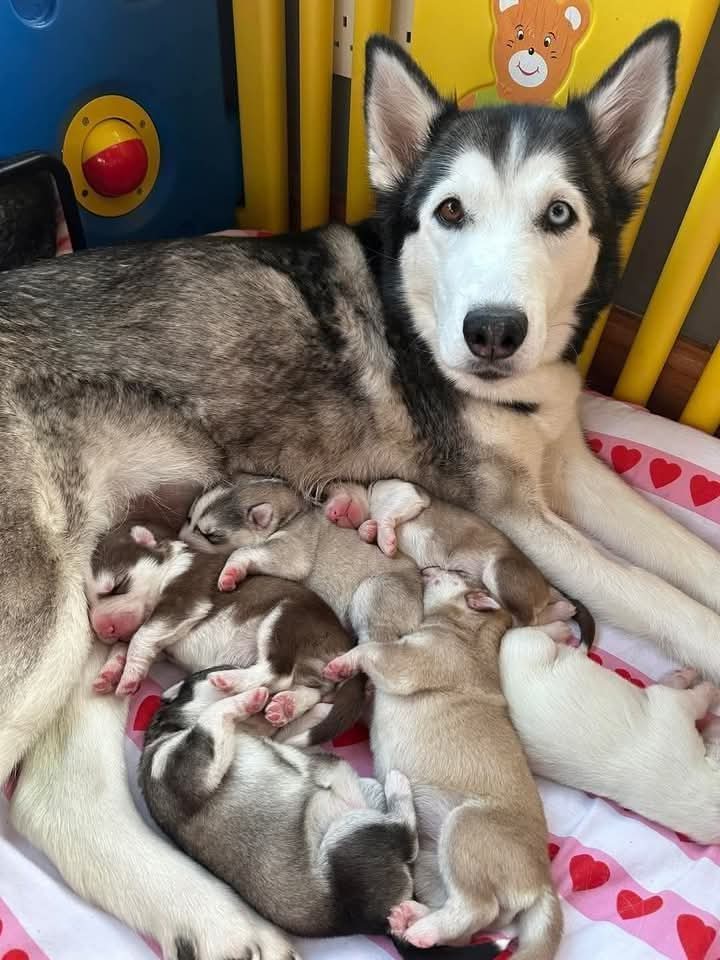 Proud Mama ❤️