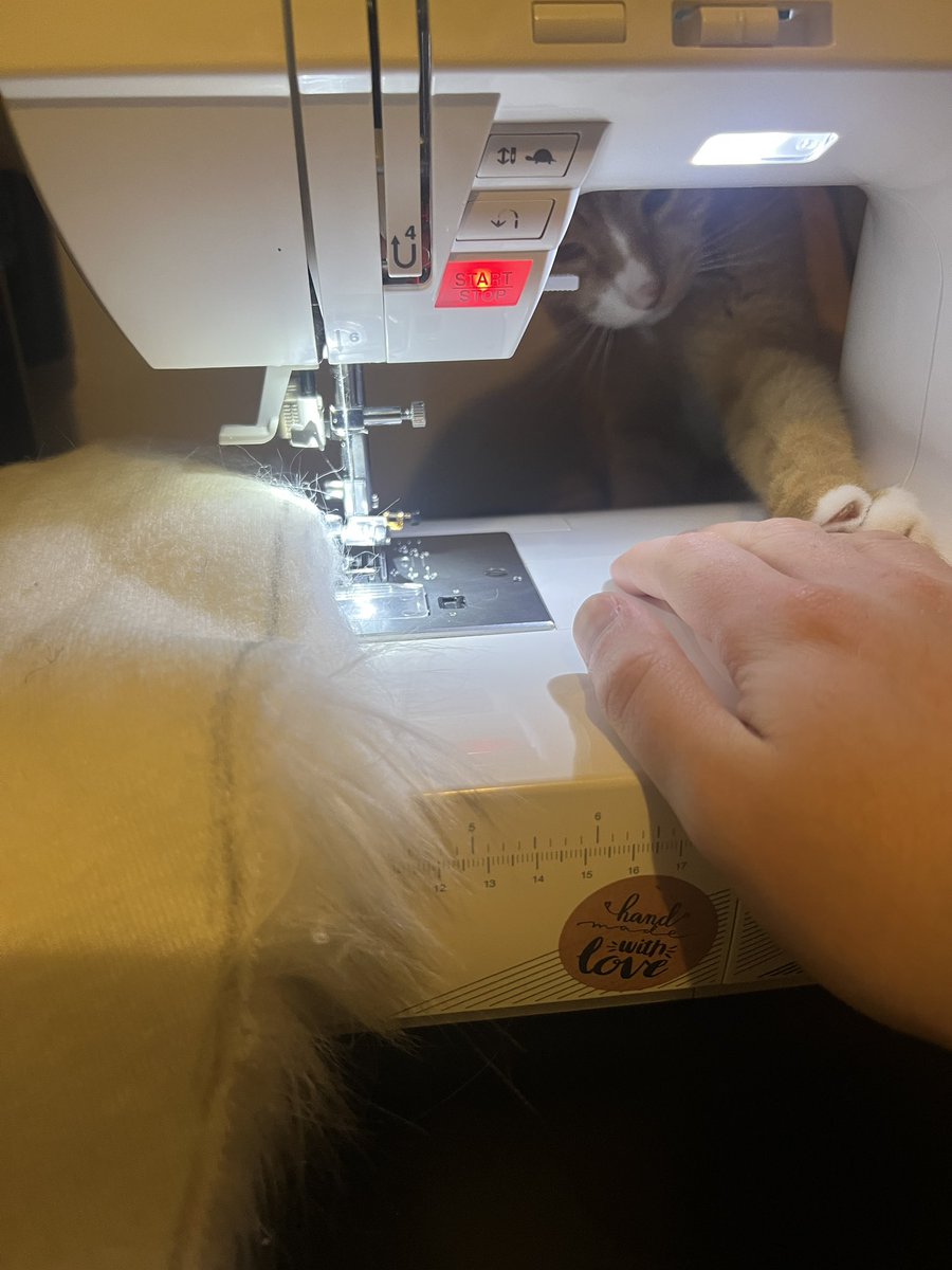 FurtasticStudios tweet media