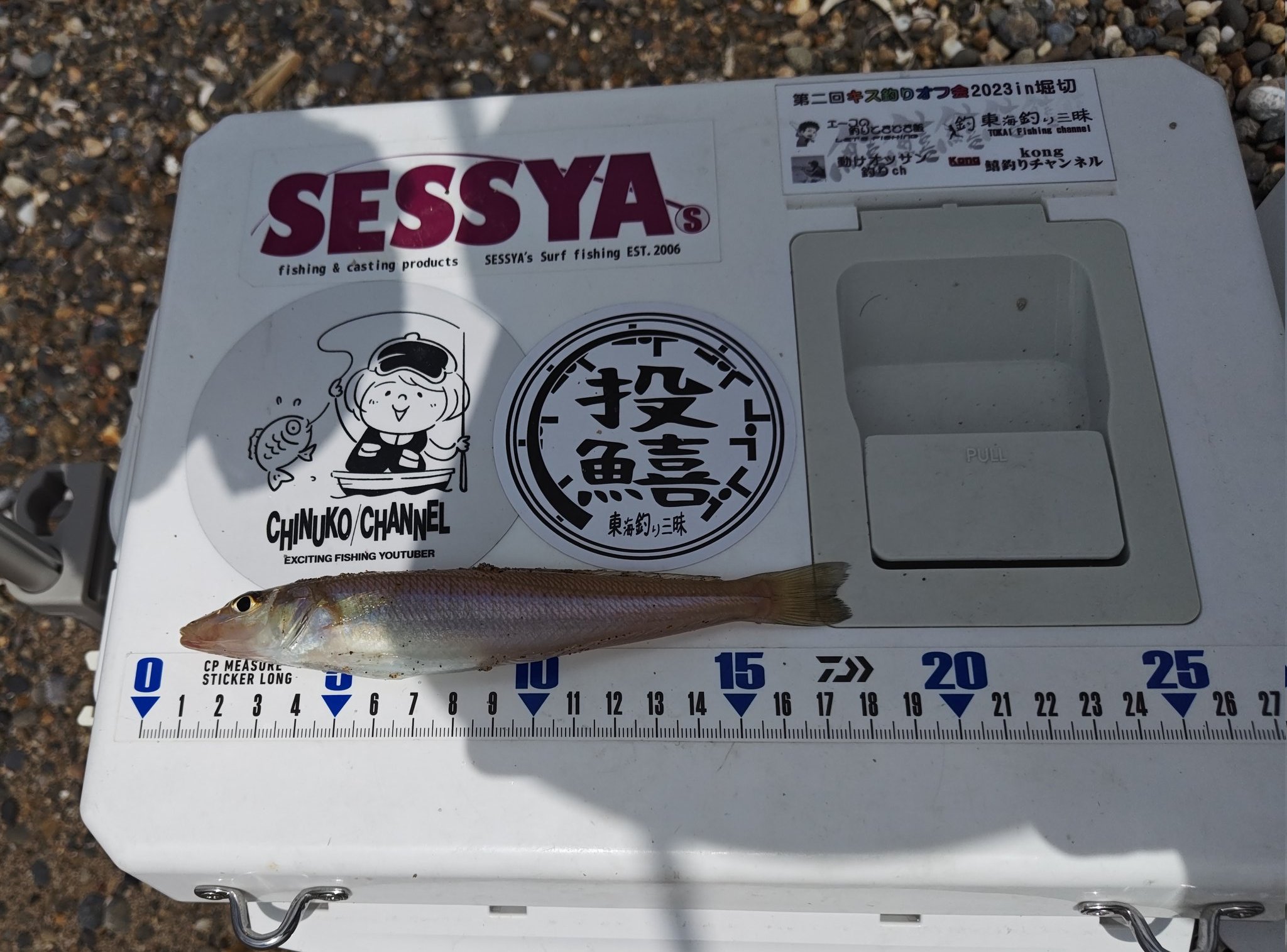 鮪 です 面白い魚とれたぁミズウオ😊 くっそデカいタチウオ思った😂頭に