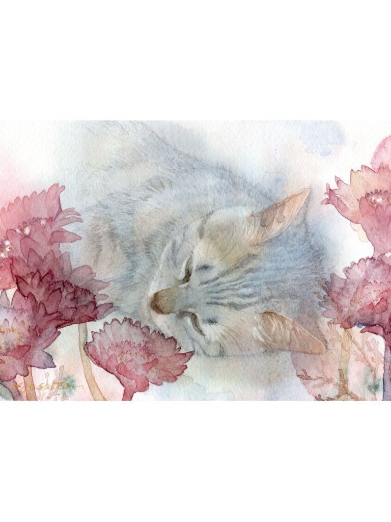 #このタグを見た人は黙って猫をはる