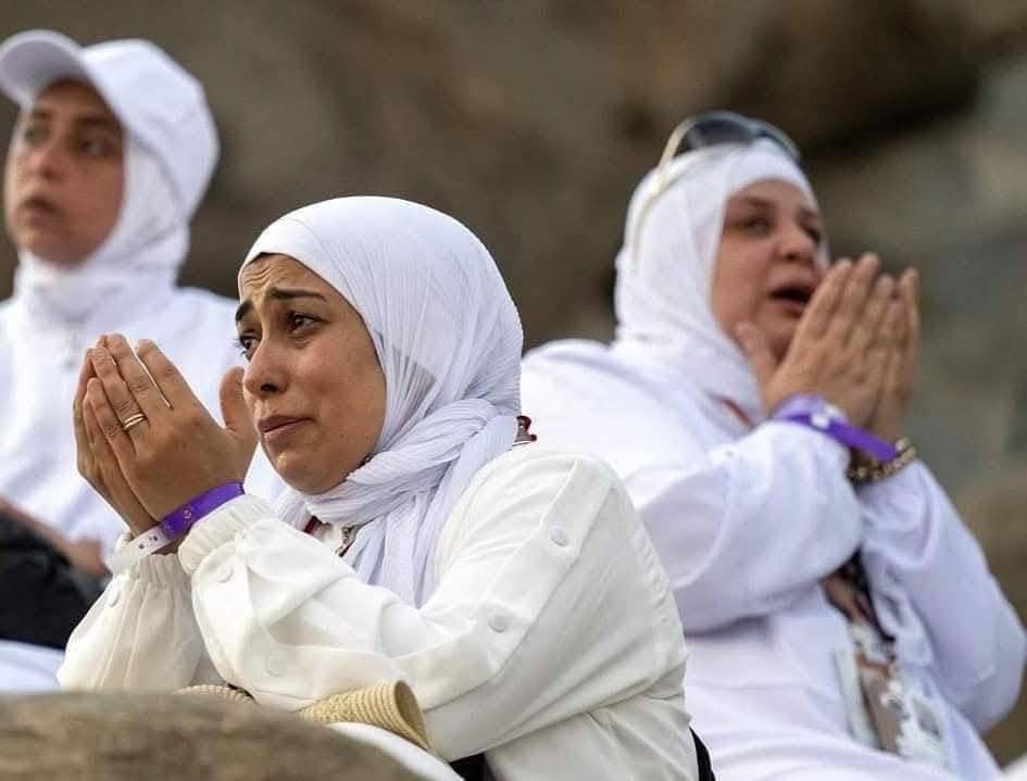 دعا محافظ واسط أصحاب المواكب الممتدة من الشوملي إلى زرباطية لافتتاح مواكبهم استعداداً لاستقبال أكثر من 50 ألف حاج إيراني عالقين في السعودية، والذين سيبدأ تفويجهم غداً من منفذ عرعر إلى منفذ زرباطية على شكل وجبات يومية<a href="/mohamaedalmaihy/">محمد جميل المياحي_ Mohammed jameel almaihy</a>