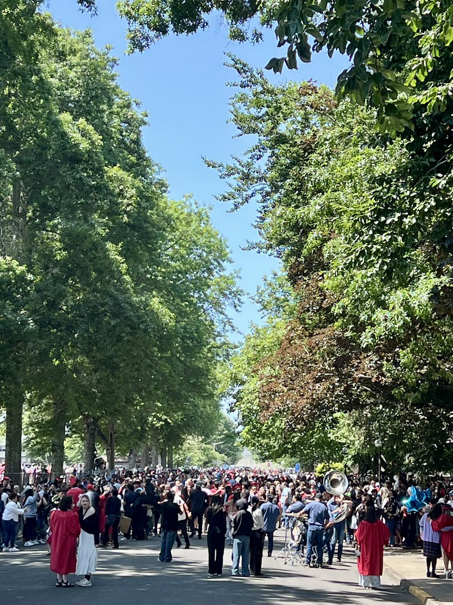 Jesse Peters tweet media