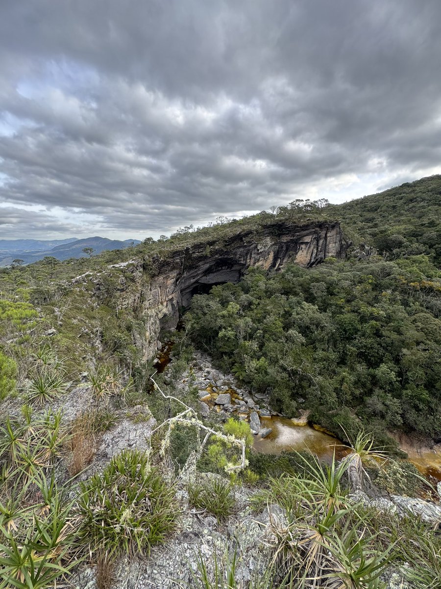 joaoluizpedrosa's tweet photo. quando for falar de minas gerais FALE BAIXO https://t.co/K8qQhS8Isi
