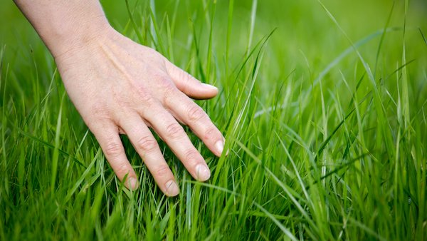Ceesay29579946's tweet photo. #openseatouchgrass https://t.co/dCDHGEXbVu