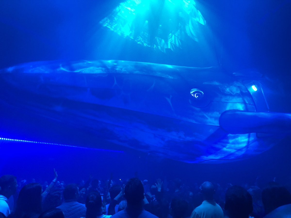 m_legui13's tweet image. Imperdible #FuerzaBruta bondad Originaria en #GEBA #Junio