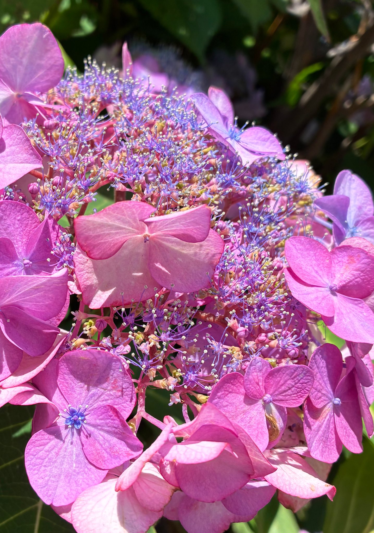 ICHI (@kenny7215) / X