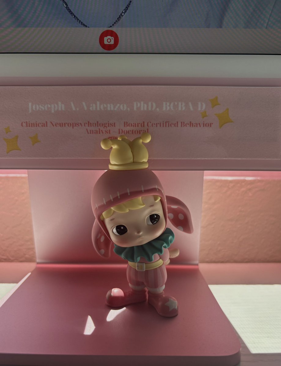 PhD apps this year 😵‍💫