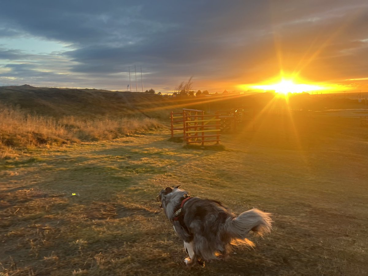 Días más y más cortos 
1020 am Punta Arenas