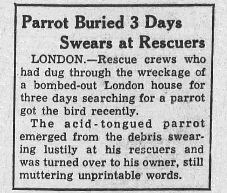 Yesterday's Print (@yesterdaysprint) on Twitter photo The Mountain Echo, Shickshinny, Pennsylvania, June 16, 1944 The Mountain Echo, Shickshinny, Pennsylvania, June 16, 1944