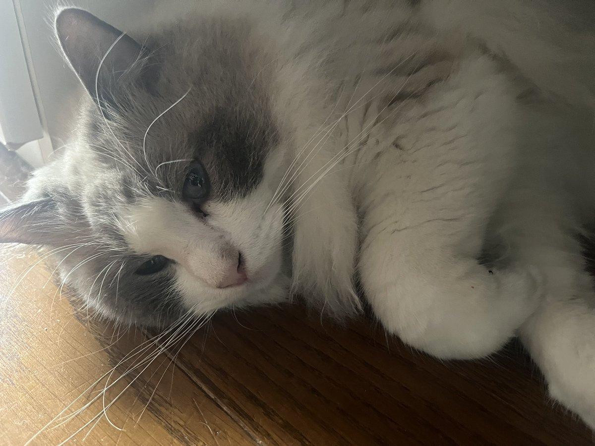 「なに..?なんだ、なんもないか...」