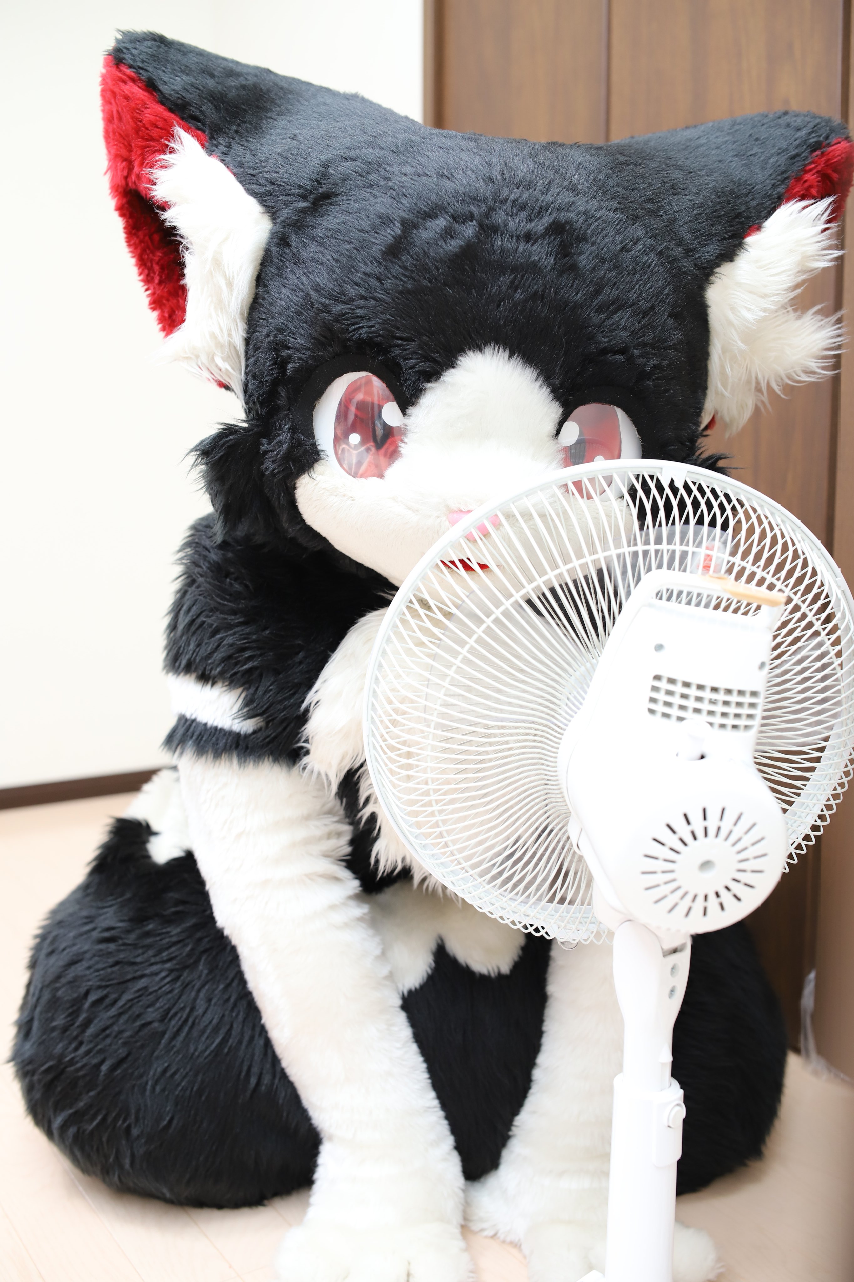 ぽんぽん (@_pon2pon_) / X
