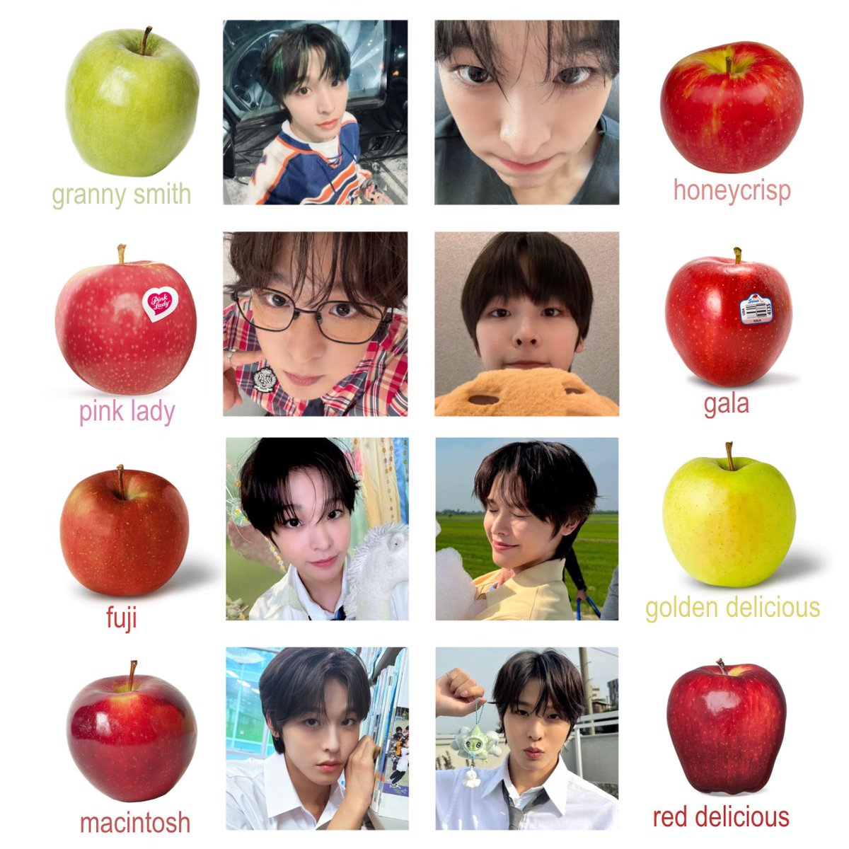 maeritonz's tweet image. riku as different type of apples ♡ ໒⁀ ᩧຼ ꒱ིྀ ⁺ ⊹