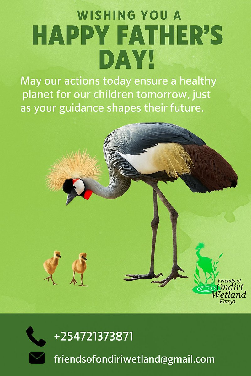 Taita Apalis (@eaststay) on Twitter photo 