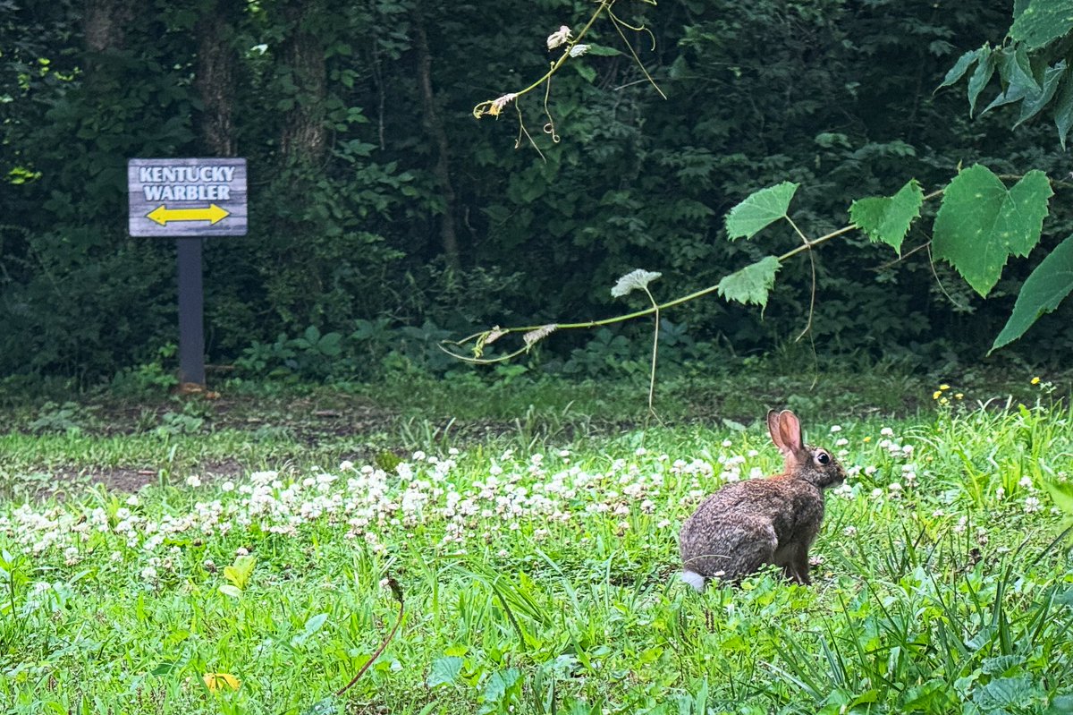 Sam Oldenburg tweet media