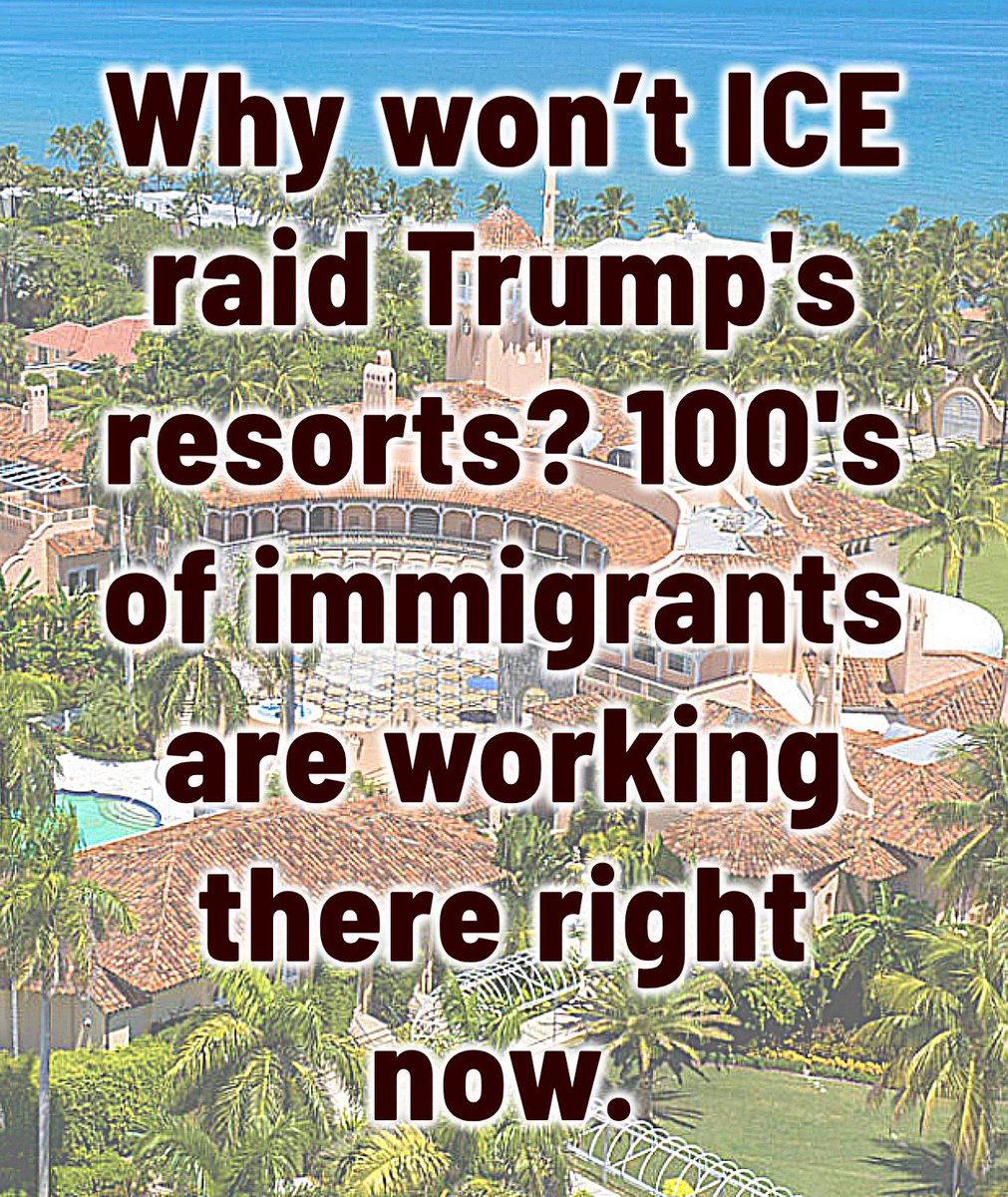 Sunny Hills (@sunnyhi61885564) on Twitter photo 