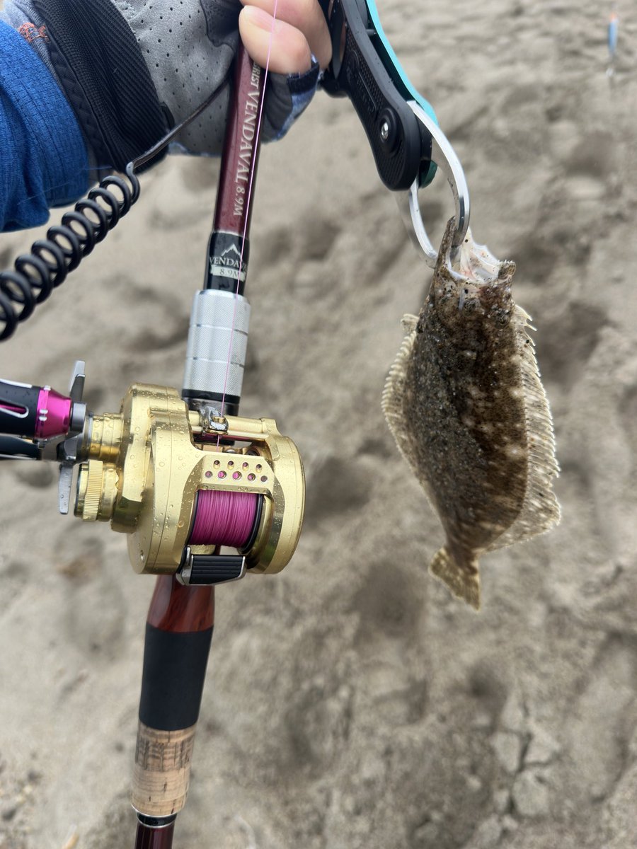 sugerres86's tweet photo. 葉っぱサイズしか釣れない😓
先日　上宮さんとお会いした場所にて

#Fishman
#fishman
#BClabo
#VENDAVAL89M
#カルカッタコンクエスト https://t.co/GAmCawlimb