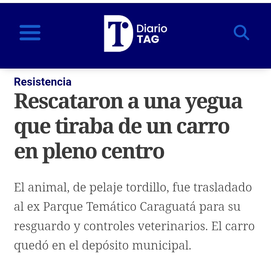 Nueva intervención de la <a href="/PoliciaChaco/">Policía del Chaco</a> y <a href="/MuniResistencia/">Municipalidad de Resistencia</a> rescatando un animal maltratado en la vía pública 🐎 <a href="/LeandroZdero/">Leandro Zdero</a> <a href="/roy_a_nikisch/">Roy Nikisch</a> <a href="/SomosUnoCH/">Somos Uno</a>