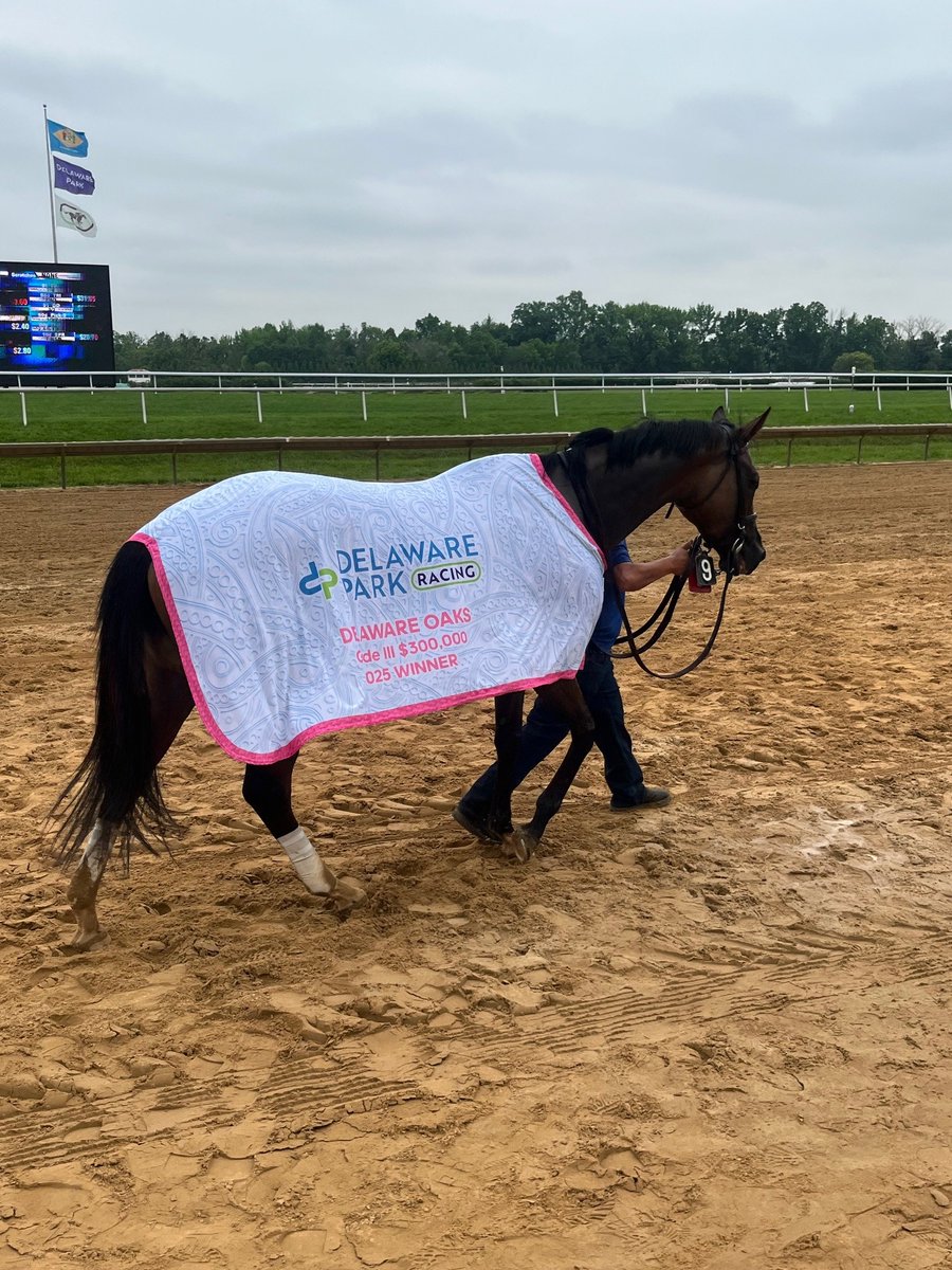 Delaware Park (@delparkracing) on Twitter photo Congratulations <a href="/EclipseTBP/">Eclipse Thoroughbred Partners</a>, <a href="/MadaketStables/">MadaketStables</a>, <a href="/iradortiz/">Iradortiz</a> & <a href="/GrahamMotion/">GrahamMotion</a> on Delaware Oaks score. Third Delaware Oaks and 35th <a href="/DelParkRacing/">Delaware Park</a> career victory by trainer <a href="/GrahamMotion/">GrahamMotion</a> Congratulations <a href="/EclipseTBP/">Eclipse Thoroughbred Partners</a>, <a href="/MadaketStables/">MadaketStables</a>, <a href="/iradortiz/">Iradortiz</a> & <a href="/GrahamMotion/">GrahamMotion</a> on Delaware Oaks score. Third Delaware Oaks and 35th <a href="/DelParkRacing/">Delaware Park</a> career victory by trainer <a href="/GrahamMotion/">GrahamMotion</a>