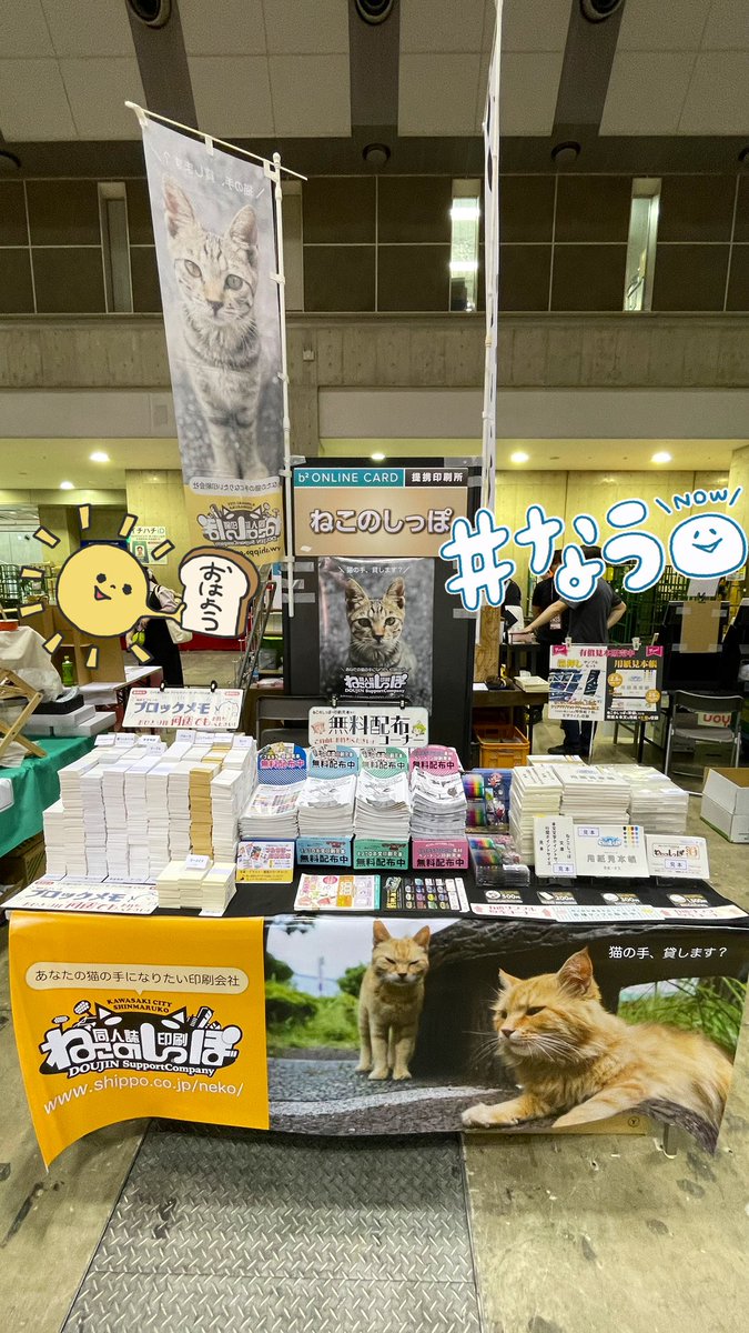 ねこのしっぽ☆ ねこしつじ 1 (ワイドKC) | 桑田 乃梨子 |本 | 通販 | Amazon