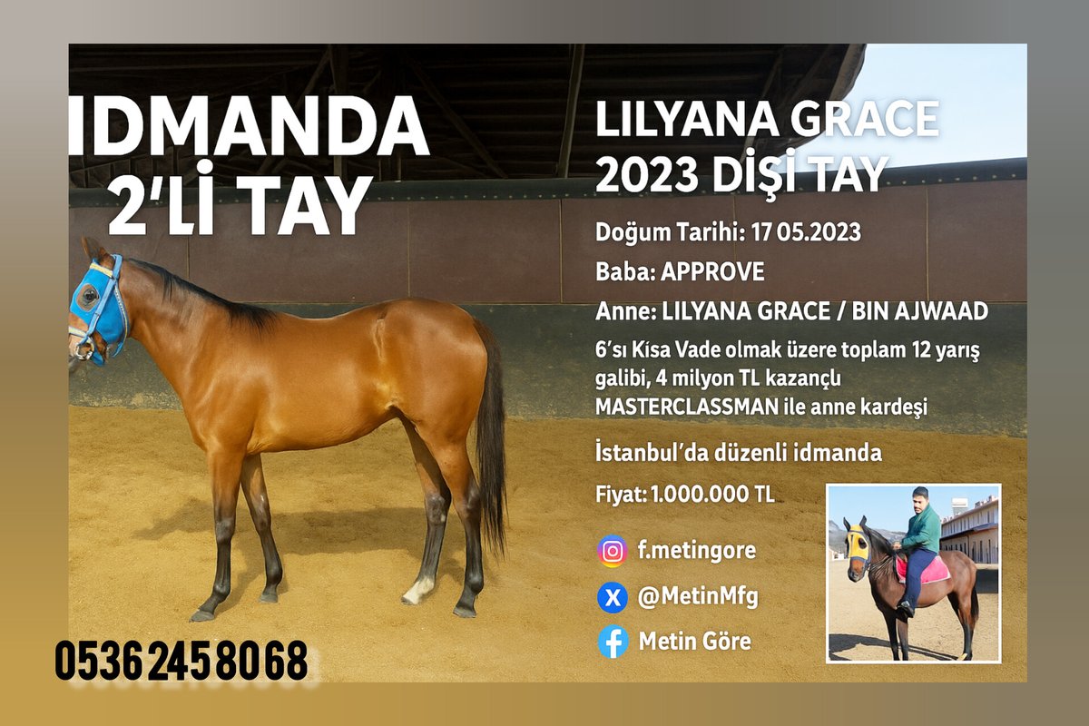 MetinMfg's tweet image. 6 sı Kısa Vade olmak üzere 12 yarış galibi 4 milyon TL. Kazançlı #Masterclassman ile kardeş, #Approve tayı İstanbul'da işlerde @varmitalip @AVEOTO